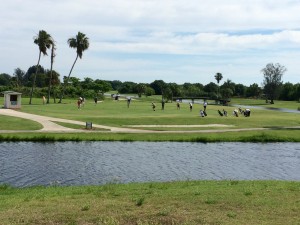 Florida region club golf course