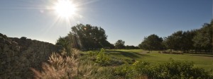grey rock golf course in texas